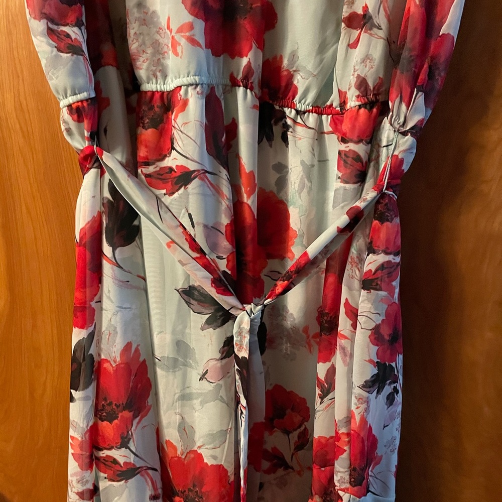 Beautiful Flower Dress - image 2